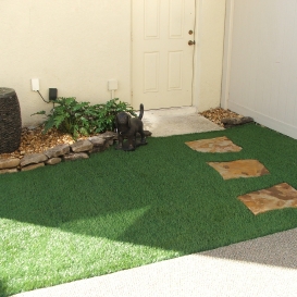 steps_in_artificial_turf