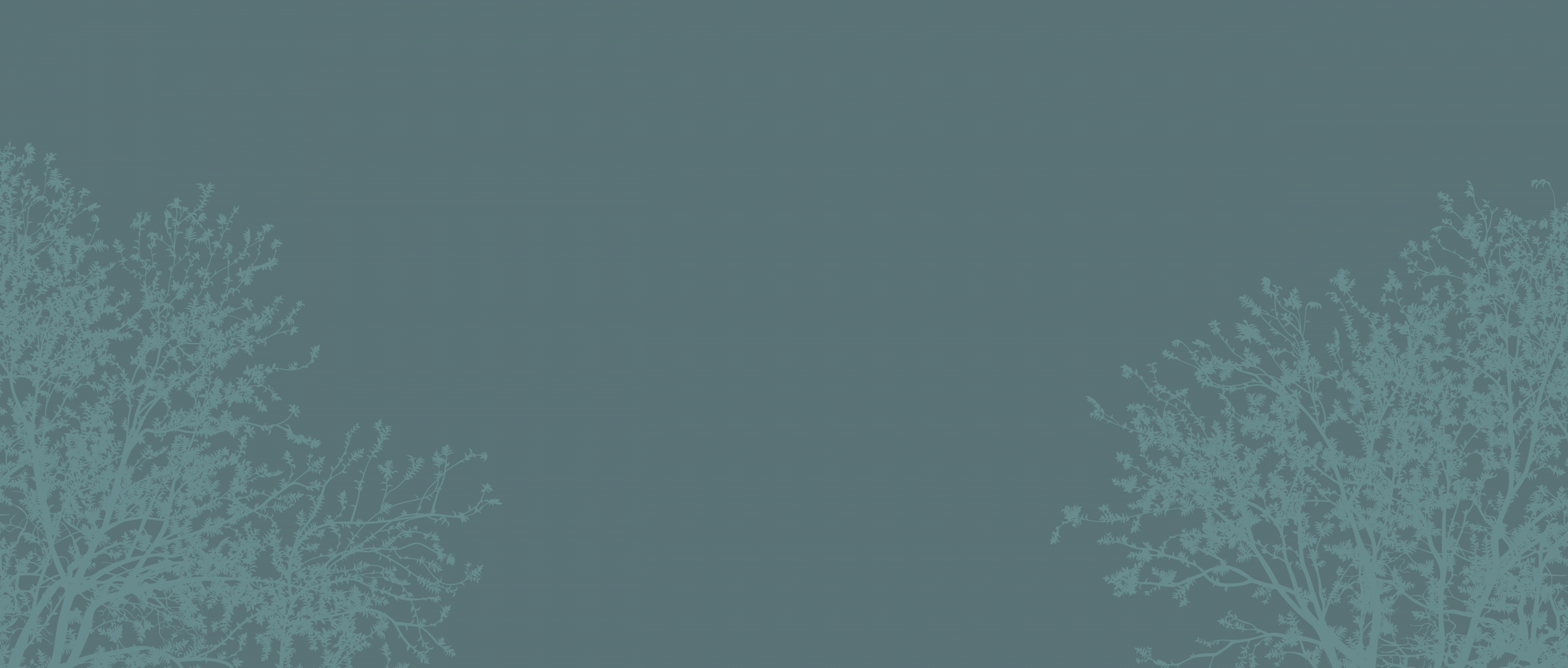 Testimonial-pattern-revised-V2